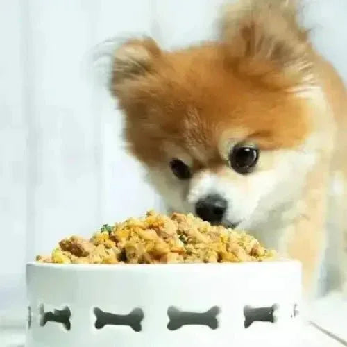 Portland Pet Food Company Grandma Ada's Turkey & Yams Homestyle Wet Dog Food 8/9oz - Talis Us
