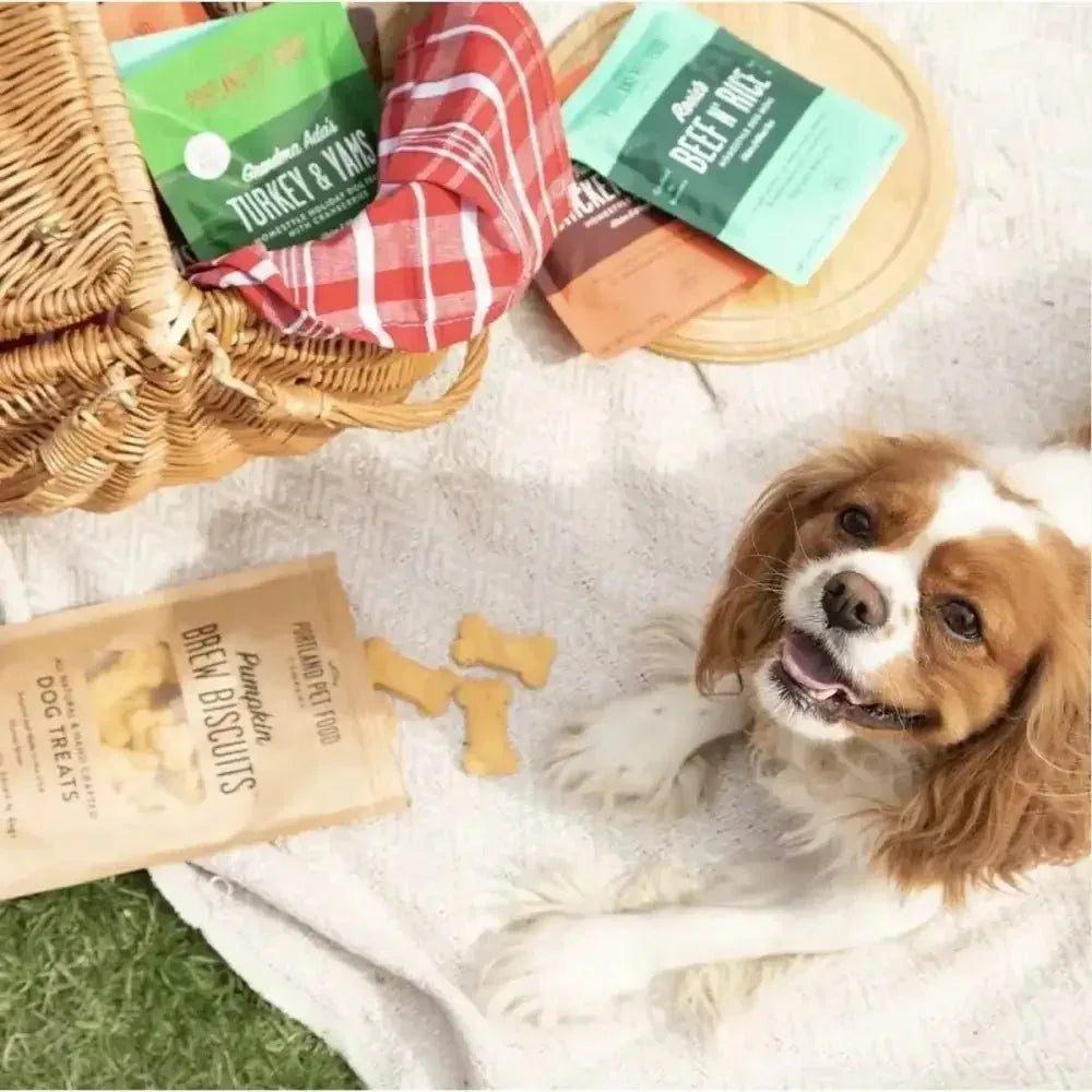 Portland Pet Food Company Pumpkin Brew Biscuits Dog Treats 5oz - Talis Us