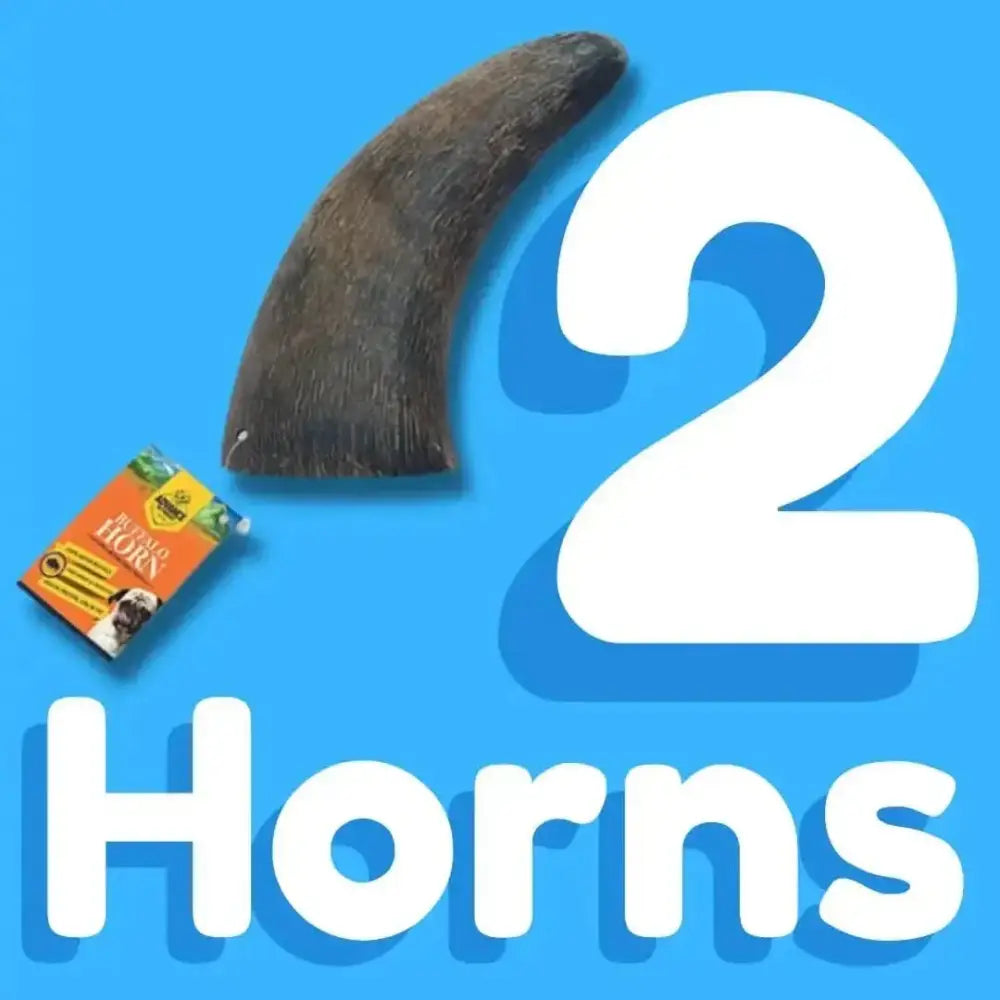 Premium All Natural Water Buffalo Chews for Dogs - Talis Us