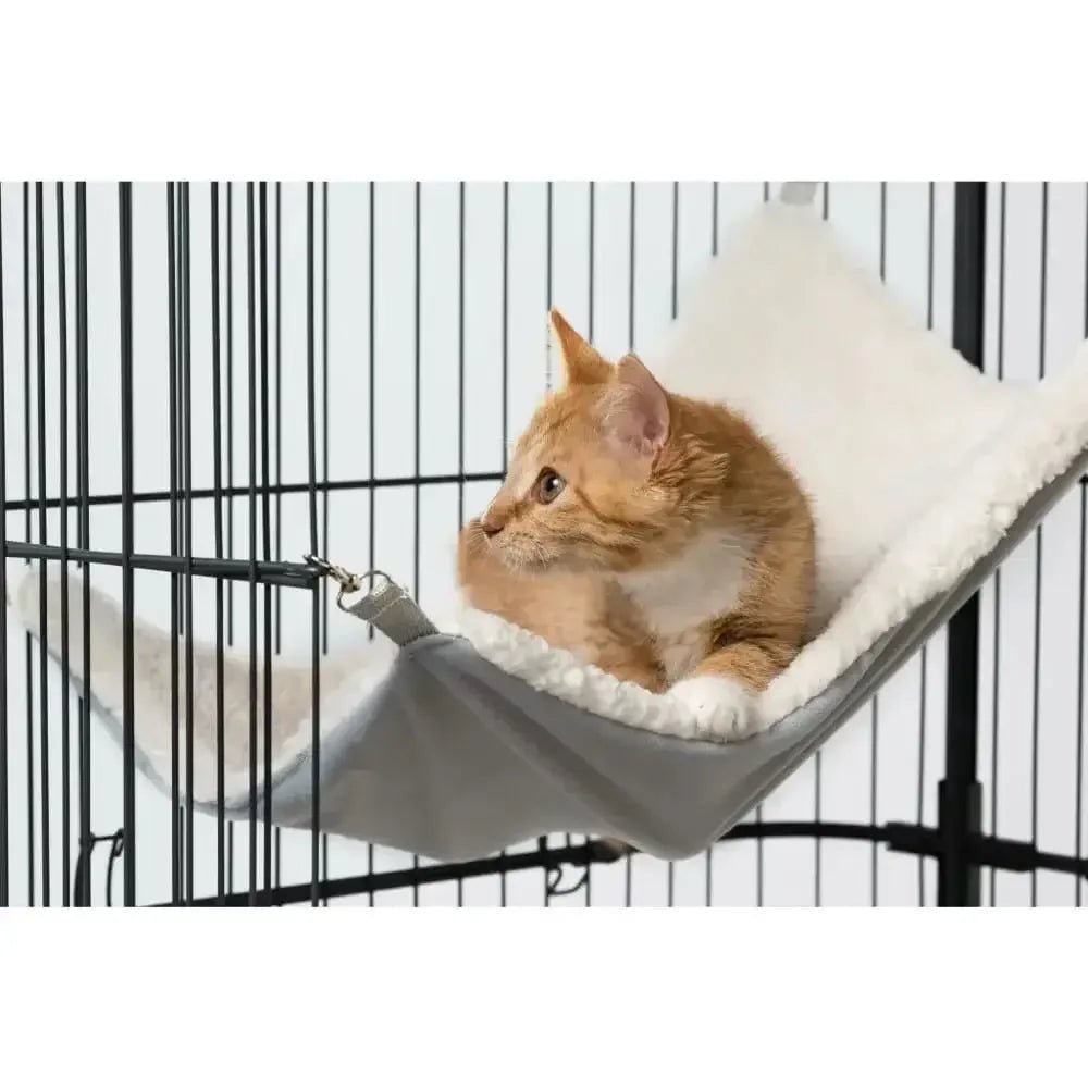 Premium Cat Home with Four Levels - Talis Us
