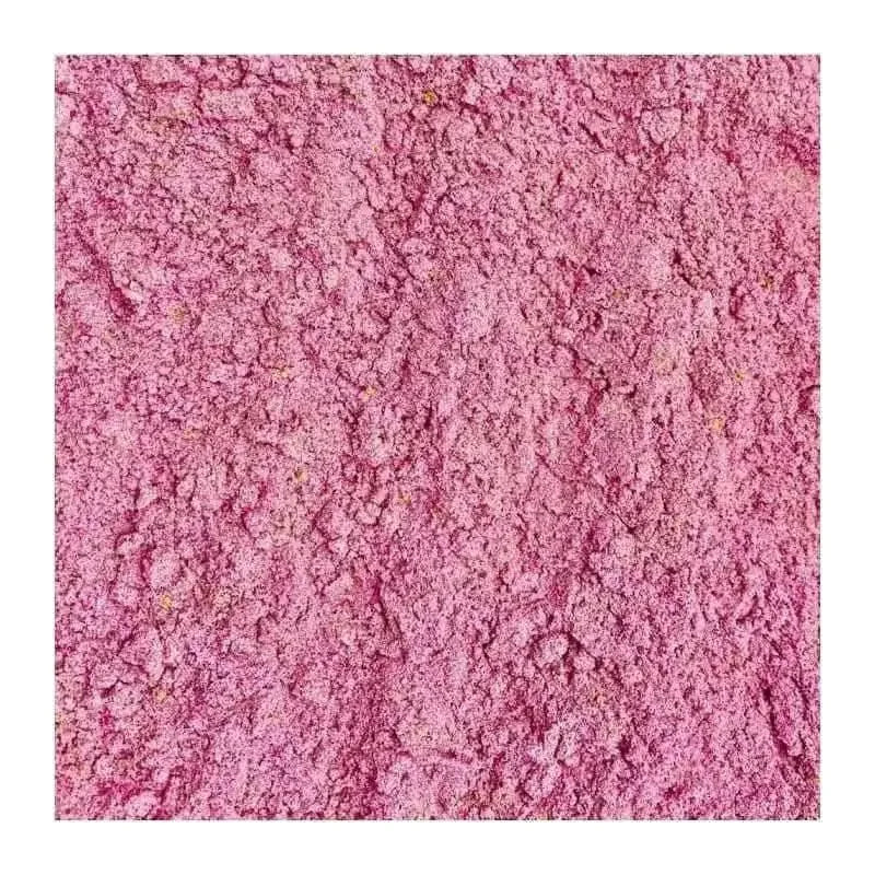 Premium Gecko Diet Dragon Fruit Lugarti