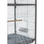 Prevue Pet Products Charming Aviary Flight Bird Cage Pearl Grey Prevue Pet CPD