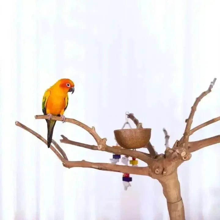 Prevue Pet Products Coffeawood Perch Tree Style 2 Floor Stand - Talis Us