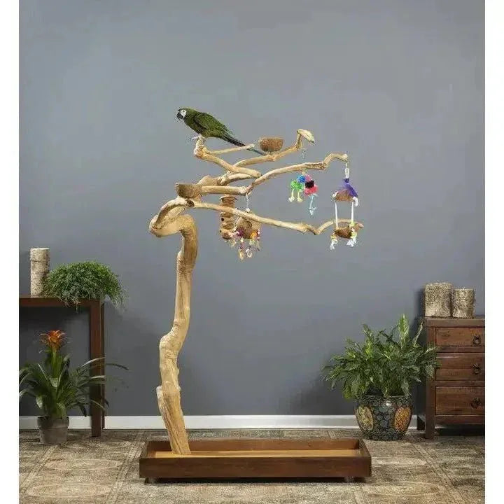 Prevue Pet Products Coffeawood Perch Tree Style 2 Floor Stand - Talis Us