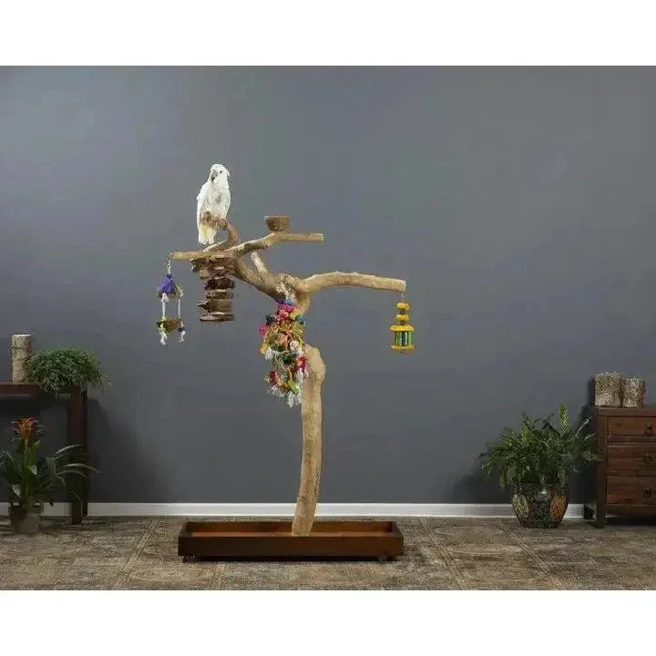 Prevue Pet Products Coffeawood Perch Tree Style 2 Floor Stand - Talis Us