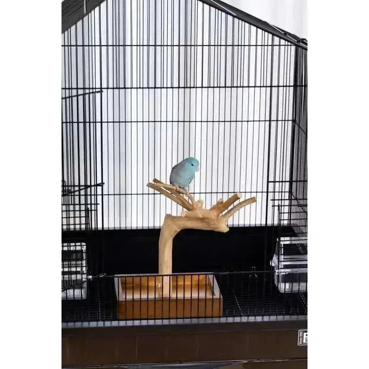 Prevue Pet Products Coffeawood Tree Mini Table Top Playstand - Talis Us