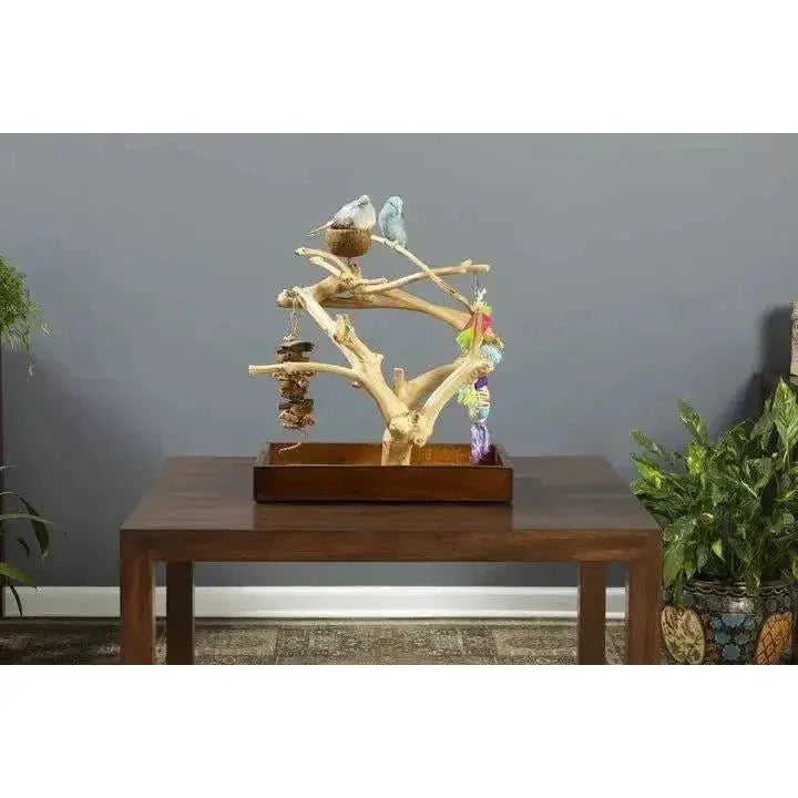 Prevue Pet Products Coffeawood Tree Mini Table Top Playstand - Talis Us