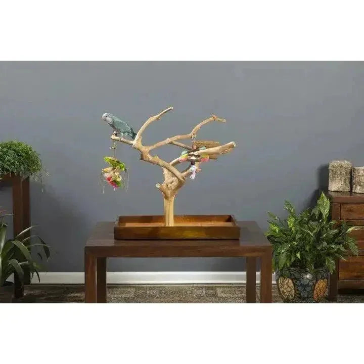 Prevue Pet Products Coffeawood Tree Mini Table Top Playstand - Talis Us