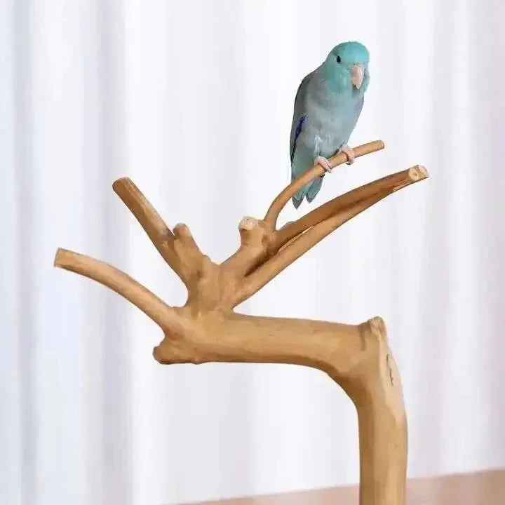 Prevue Pet Products Coffeawood Tree Mini Table Top Playstand - Talis Us