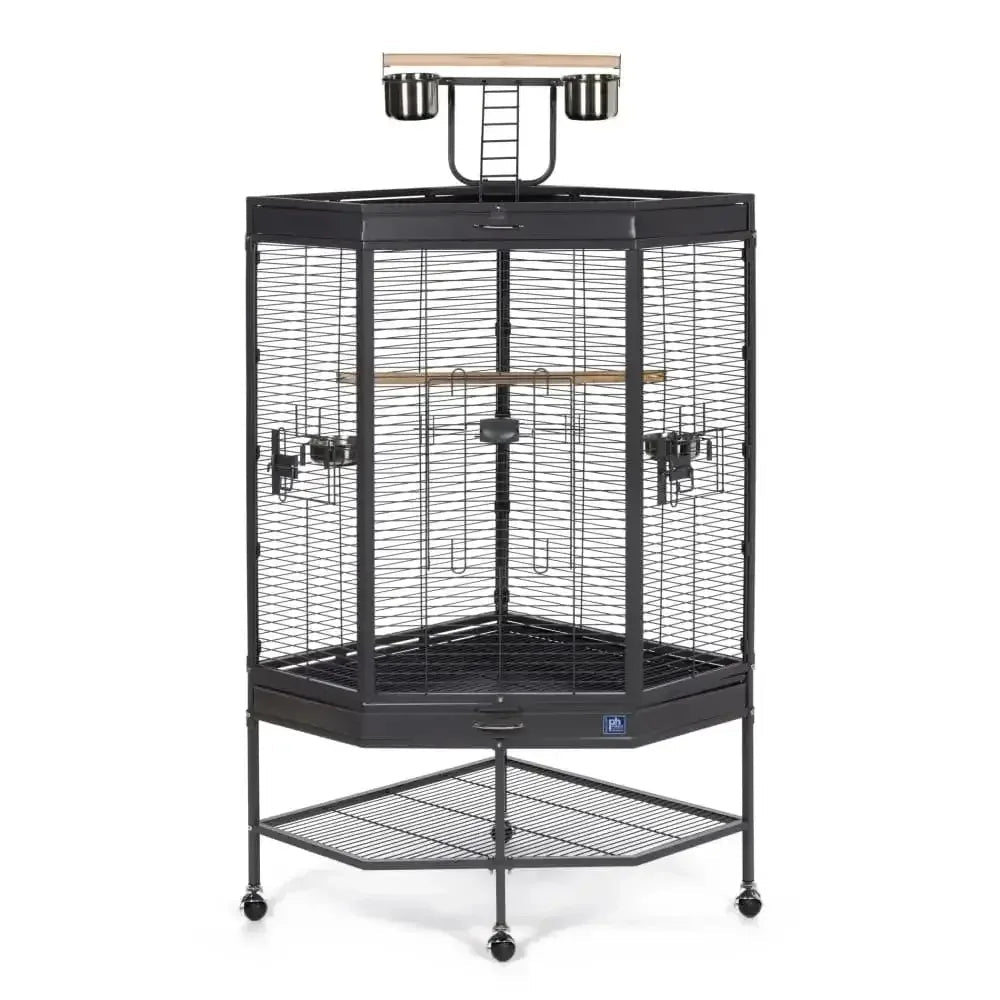 Prevue Pet Products Corner Cage with Playtop - Talis Us