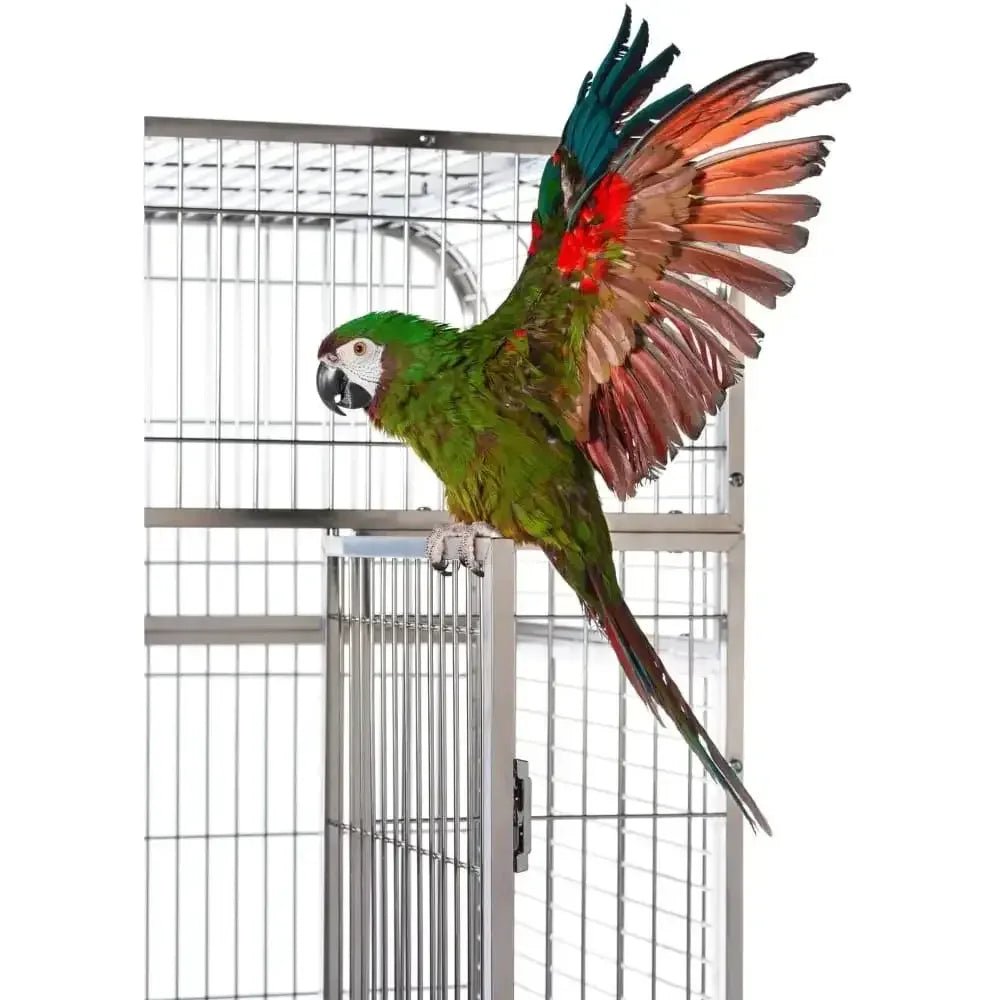 Prevue Pet Products Imperial Extra Large Stainless Bird Cage - Talis Us