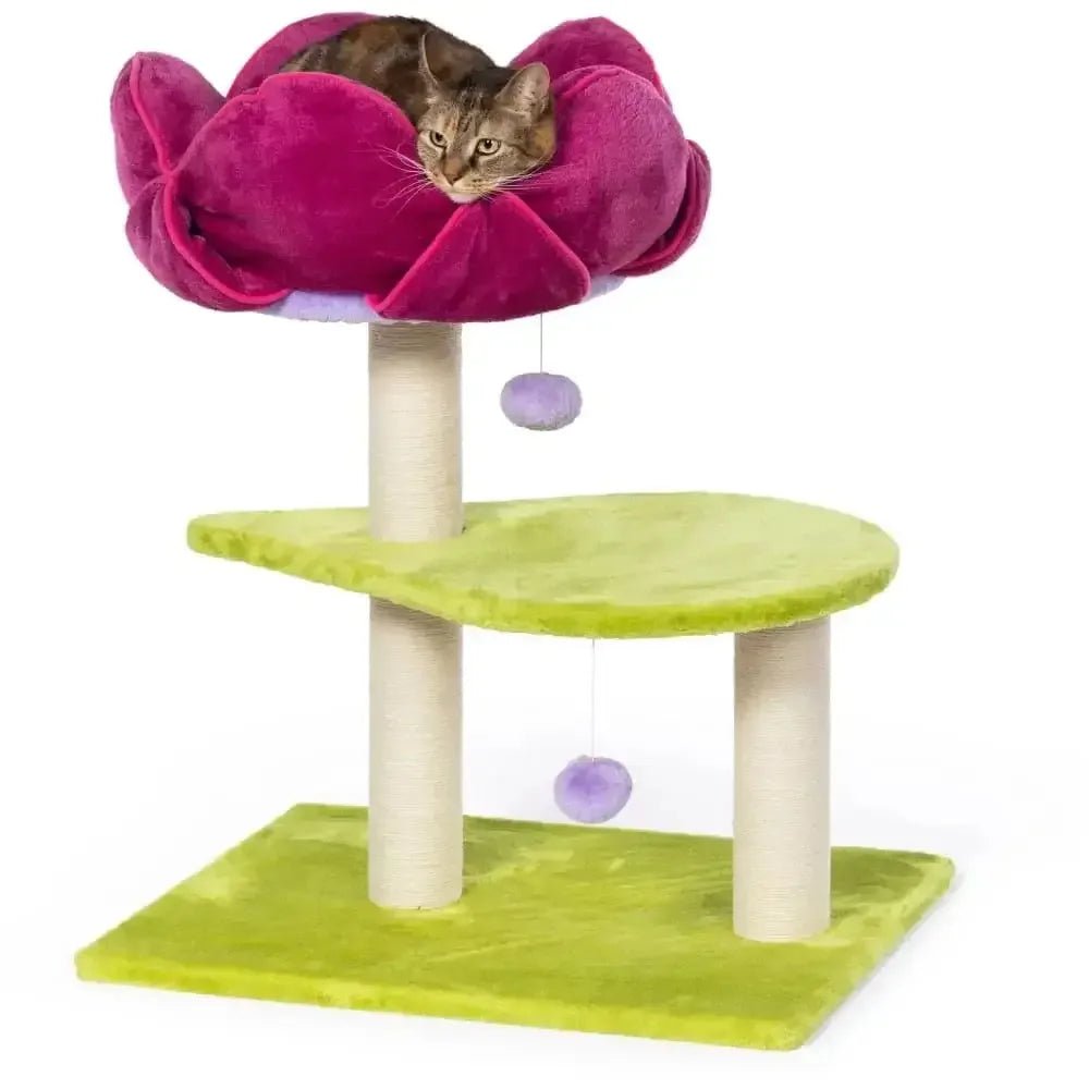 Prevue Pet Products Kitty Power Paws Flower Power Cat Activity Tree - Talis Us