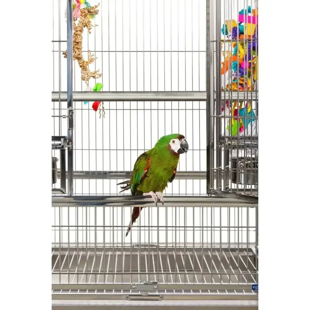 Prevue Pet Products Large Stainless Steel Bird Cage - Talis Us