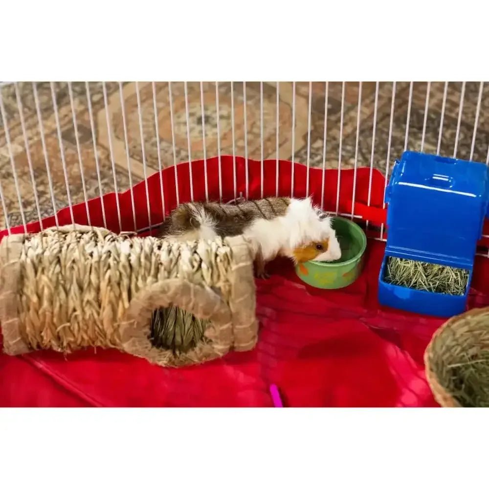 Prevue Pet Products Pet Playpen Ferret, Rabbit - Talis Us