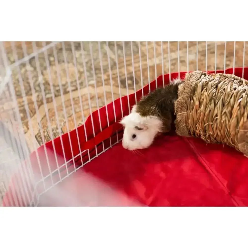 Prevue Pet Products Pet Playpen Ferret, Rabbit - Talis Us