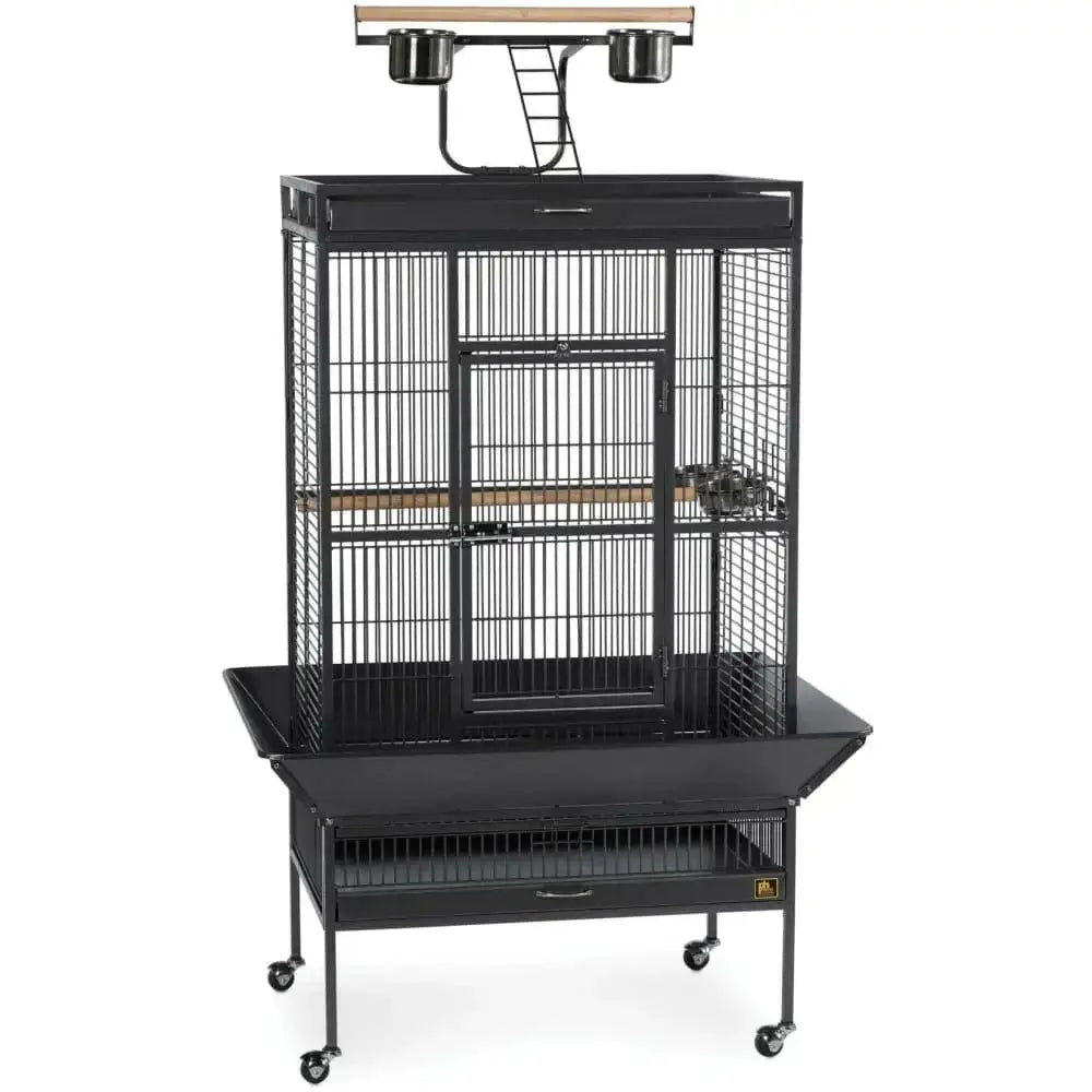 Prevue Pet Products Playtop Bird Cage Home 3153 Prevue Pet