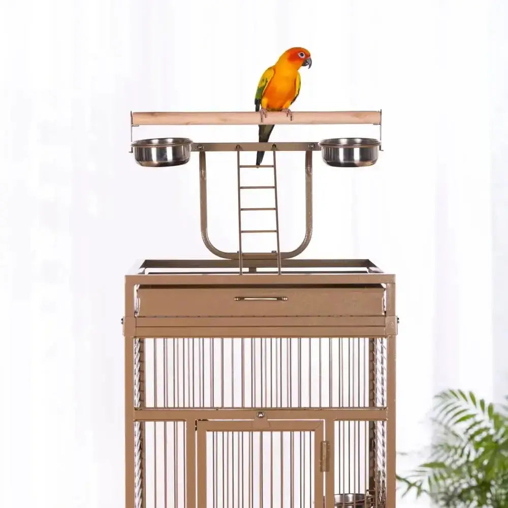 Prevue Pet Products Playtop Bird Home 3151 Prevue Pet