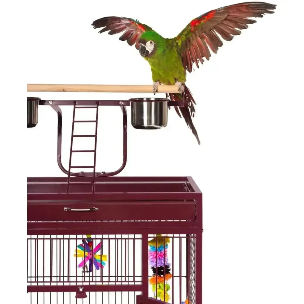 Prevue Pet Products Playtop Bird Home 3152 Prevue Pet