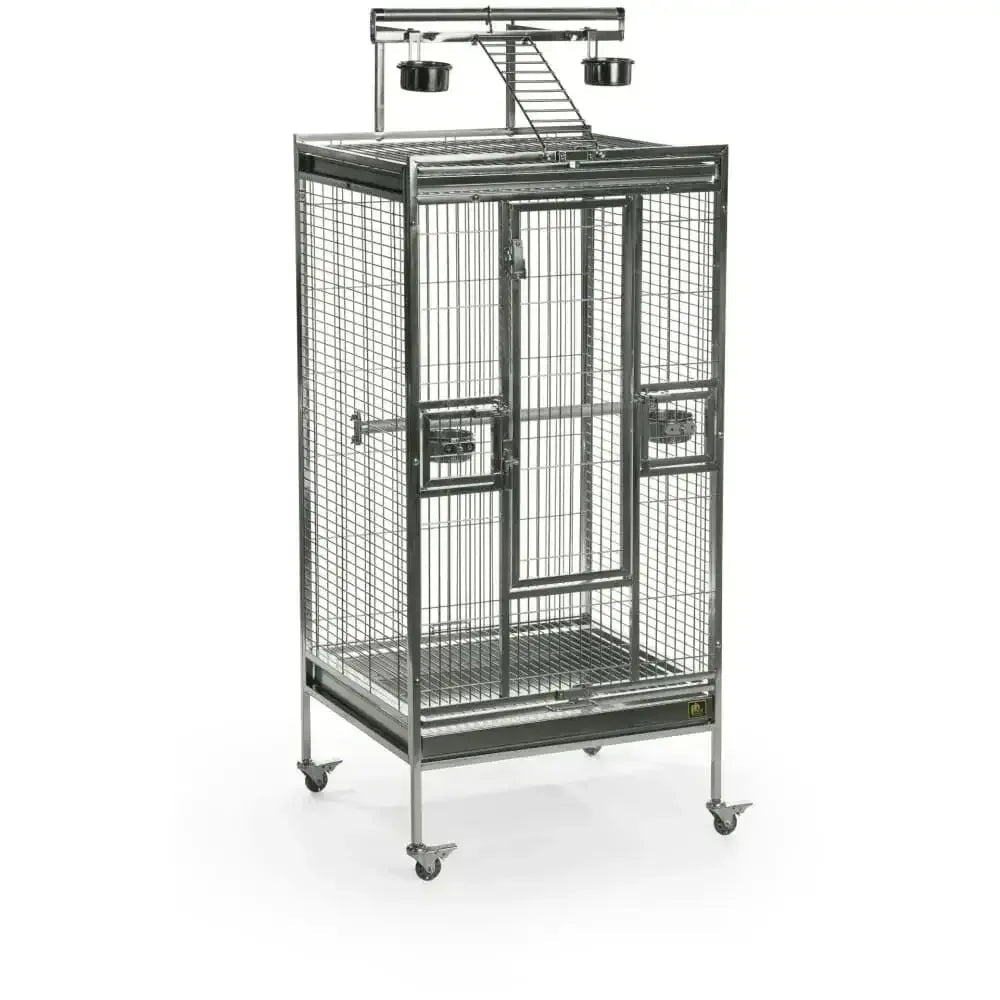 Prevue Pet Products Stainless Steel Playtop Home - Talis Us