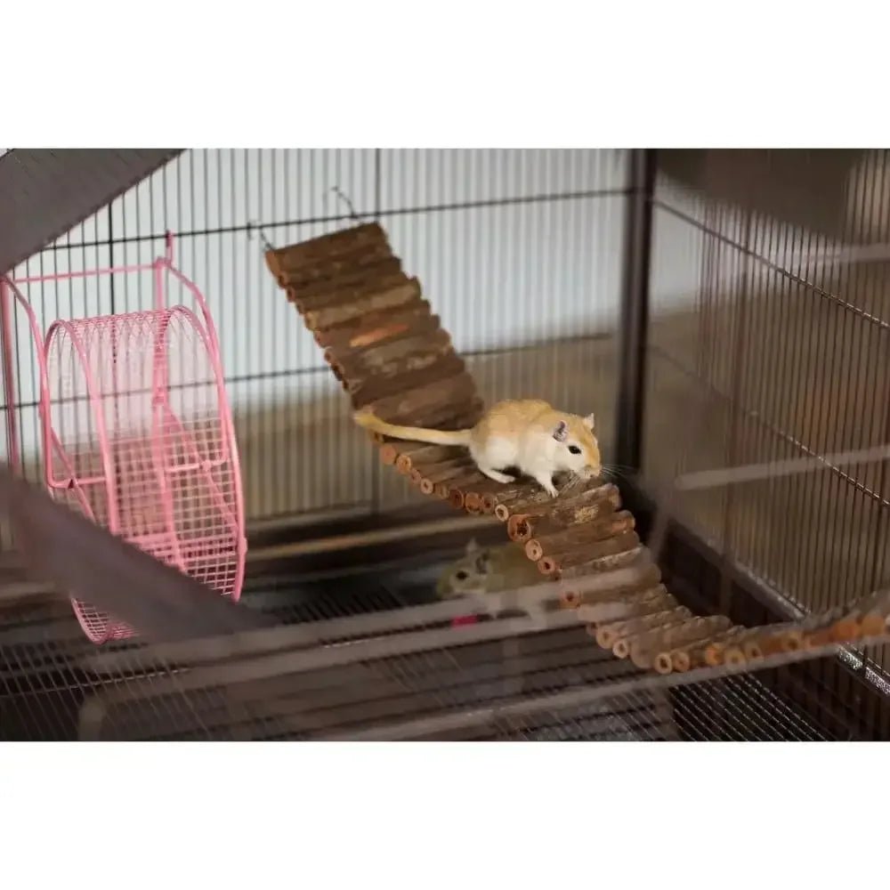 Prevue Pet Products Wonder Walk/Lg Bird Toy - Talis Us