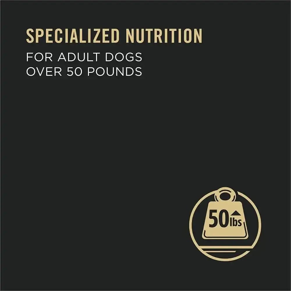Pro Plan Beef & Rice Chunks in Gravy Large Breed Dog 12 / 13 oz - Talis Us
