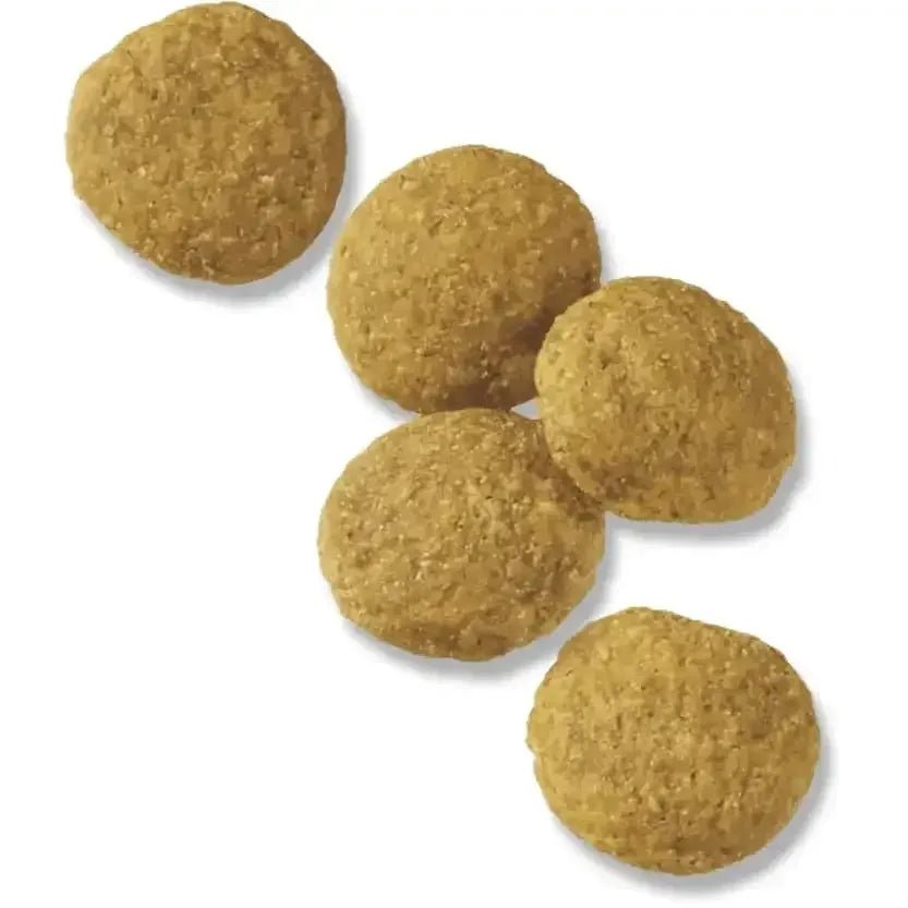 Pro Plan Chicken & Rice Large Breed Dog - Talis Us