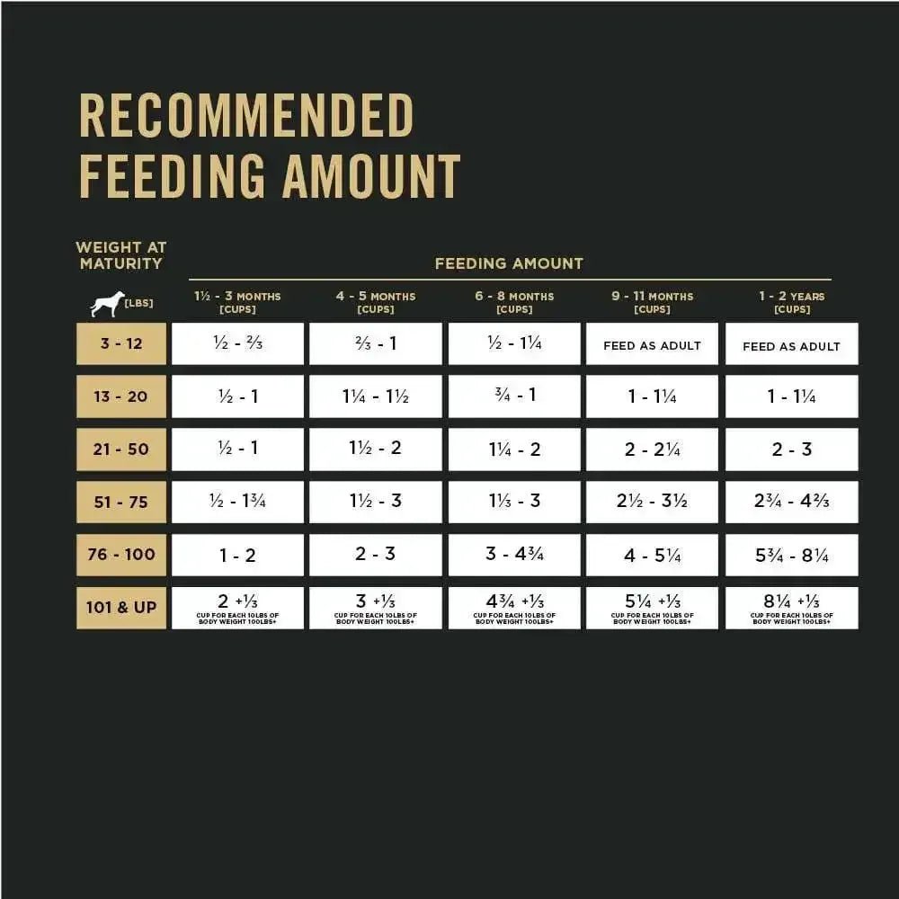 Pro Plan Chicken & Rice Puppy Food - Talis Us