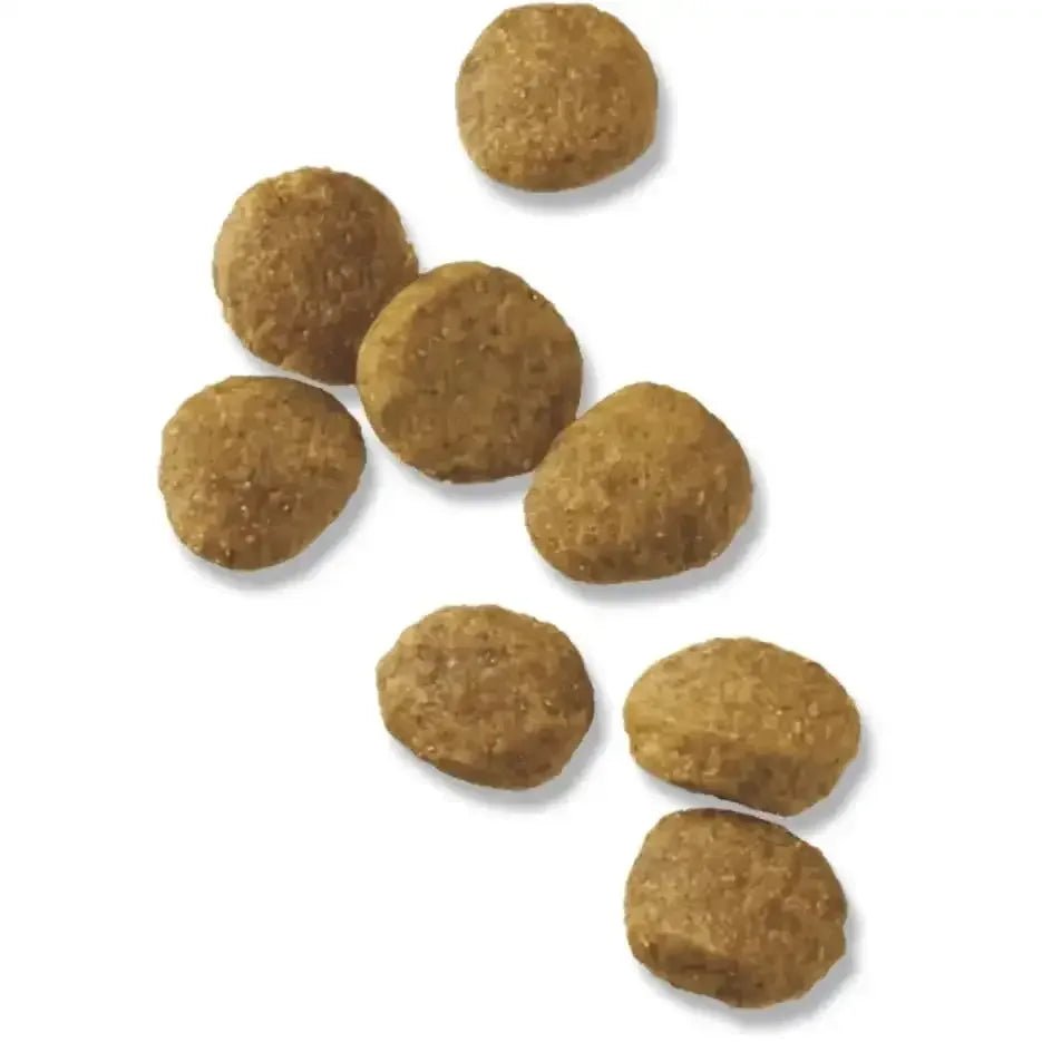 Pro Plan Chicken & Rice Puppy Food - Talis Us