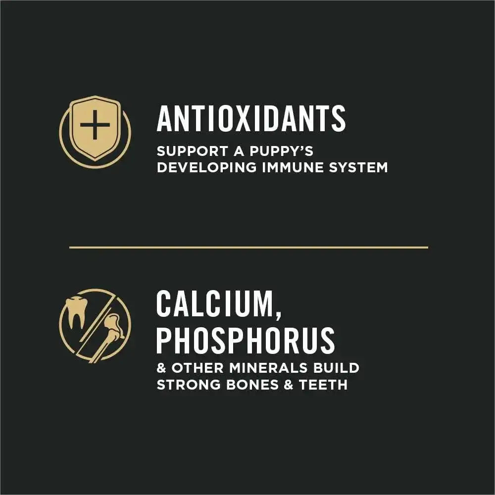 Pro Plan Chicken & Rice Puppy Purina Pro Plan