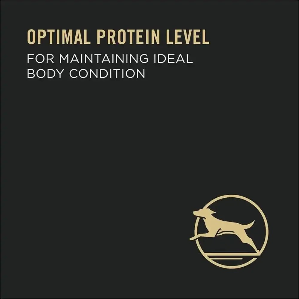 Pro Plan Complete Essentials Beef and Rice Entree Dog 12 / 13 oz - Talis Us