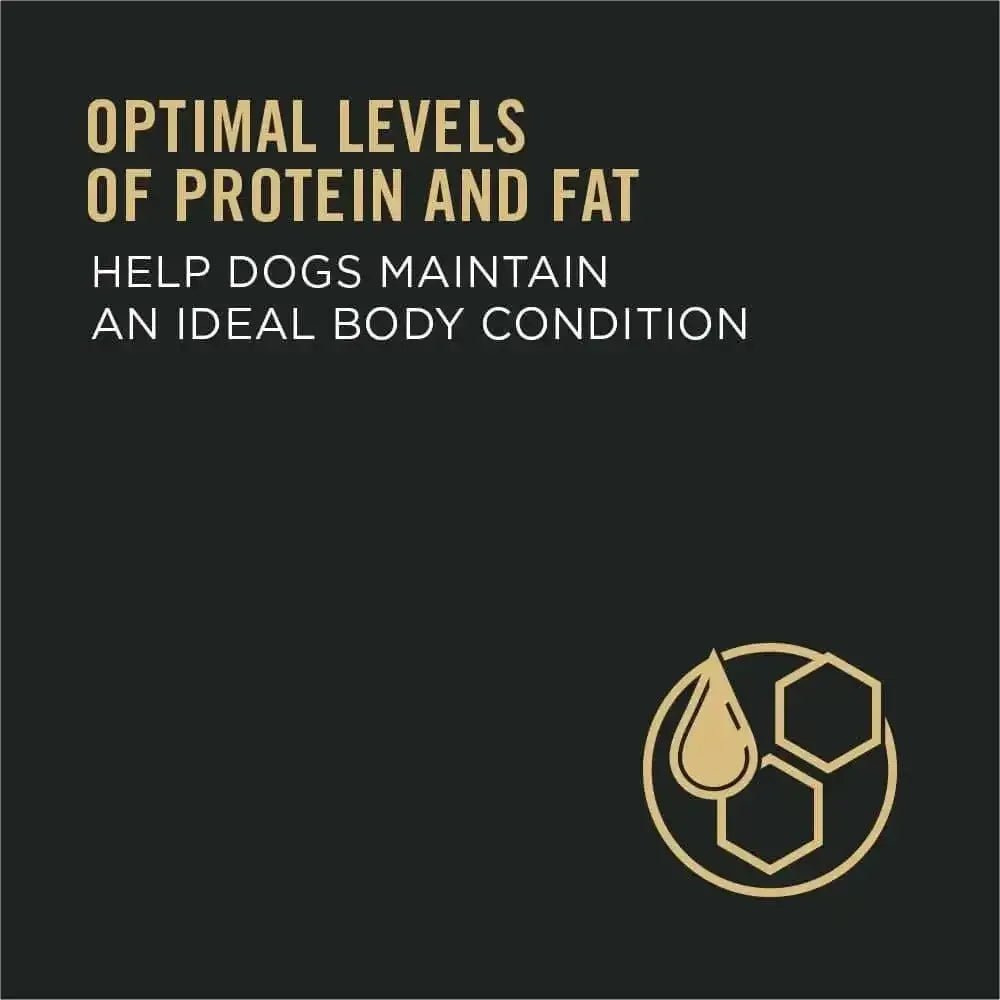 Pro Plan Complete Essentials Shredded Blend Salmon & Rice Dog - Talis Us