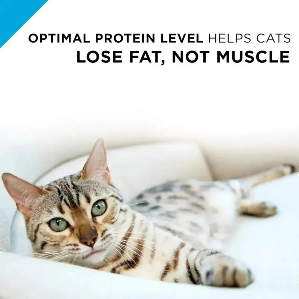 Pro Plan Weight Management Turkey & Rice Entree Adult Wet Cat Food 24 / 3 oz - Talis Us