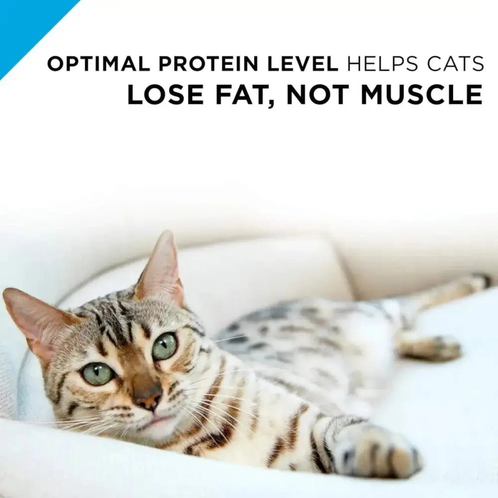 Pro Plan Weight Management Turkey & Rice Entree Adult Wet Cat Food 24 / 3 oz - Talis Us