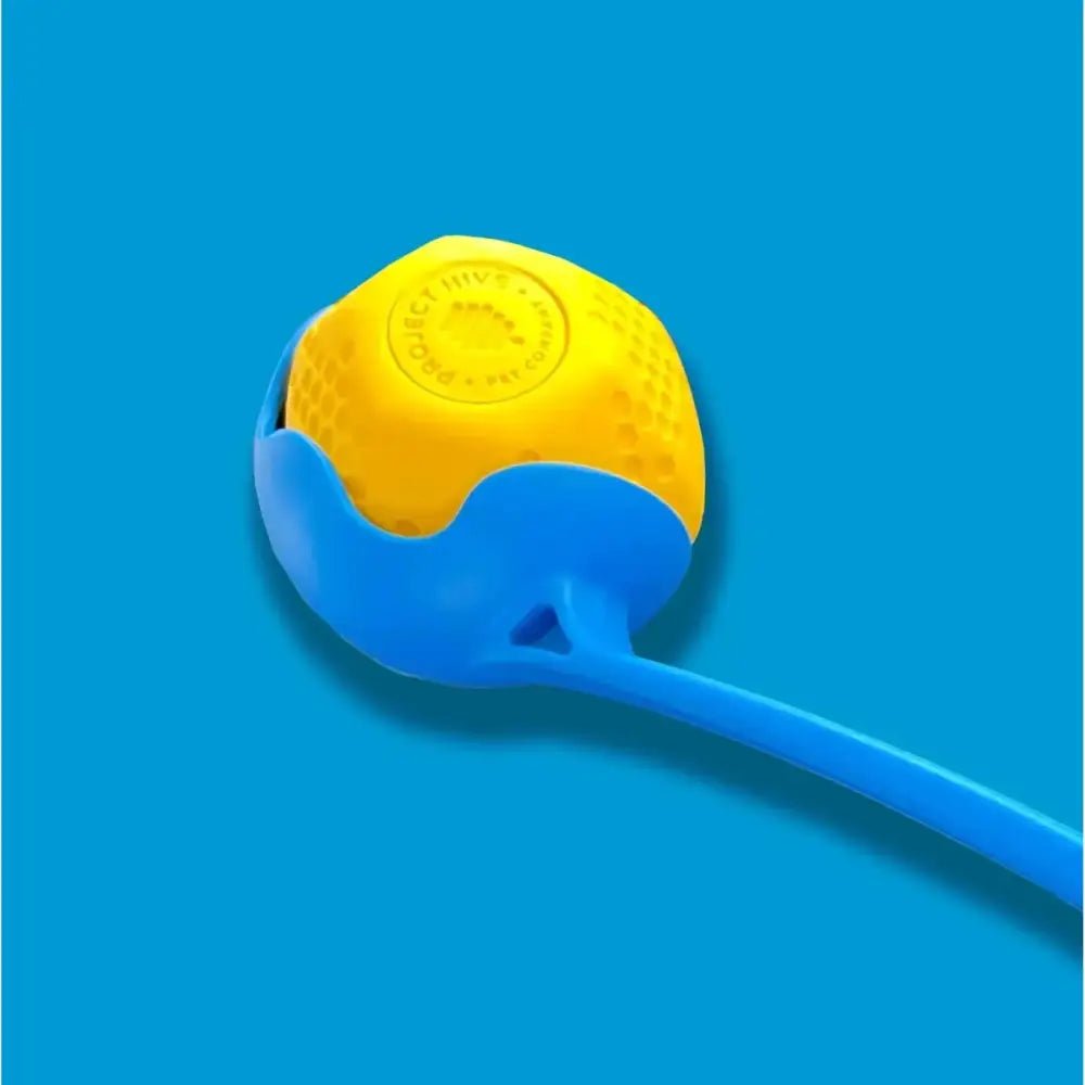 Project Hive Pet Company Hive Ball Durable Dog Toys - Talis Us
