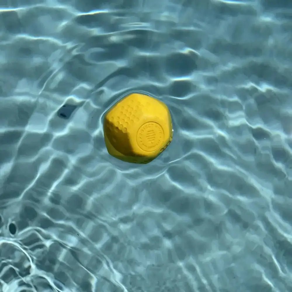 Project Hive Pet Company Hive Ball Durable Dog Toys - Talis Us