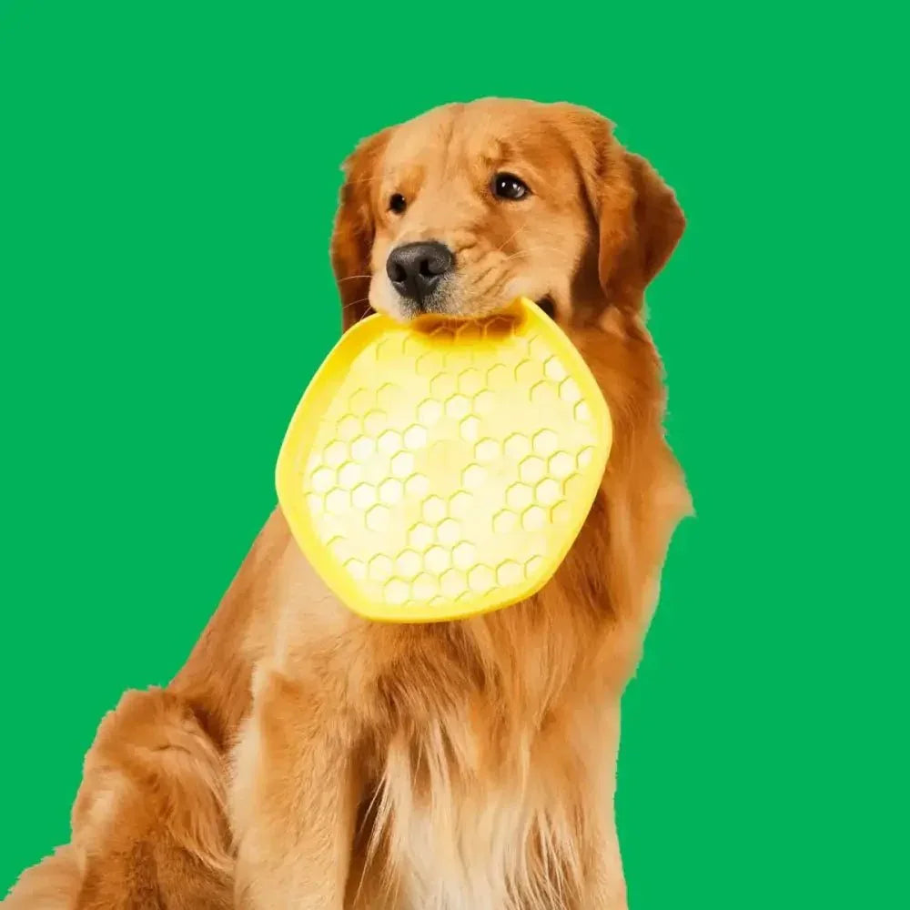 Project Hive Pet Company Hive Dog Disc Lick Pad Dog Toys - Talis Us