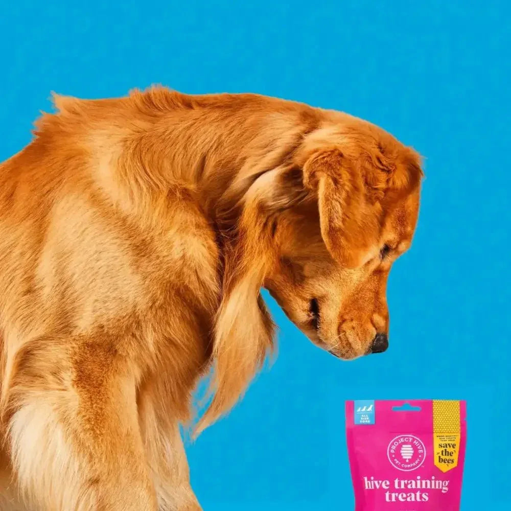 Project Hive Pet Company Hive Dog Training Treats - Talis Us