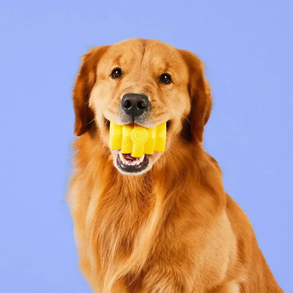 Project Hive Pet Company Hive Durable Chew Toy for Large Dogs - Talis Us