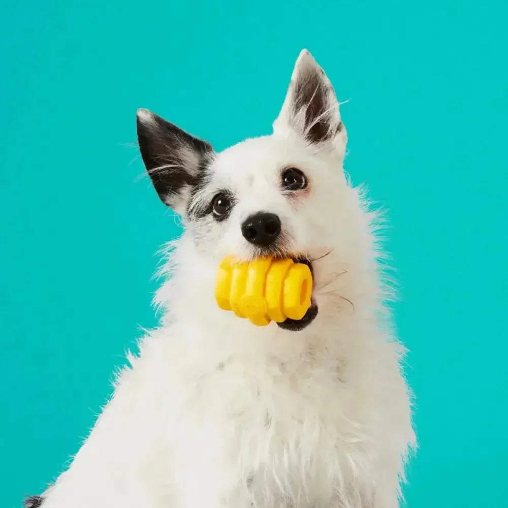 Project Hive Pet Company Hive Durable Chew Toy for Small Dogs - Talis Us