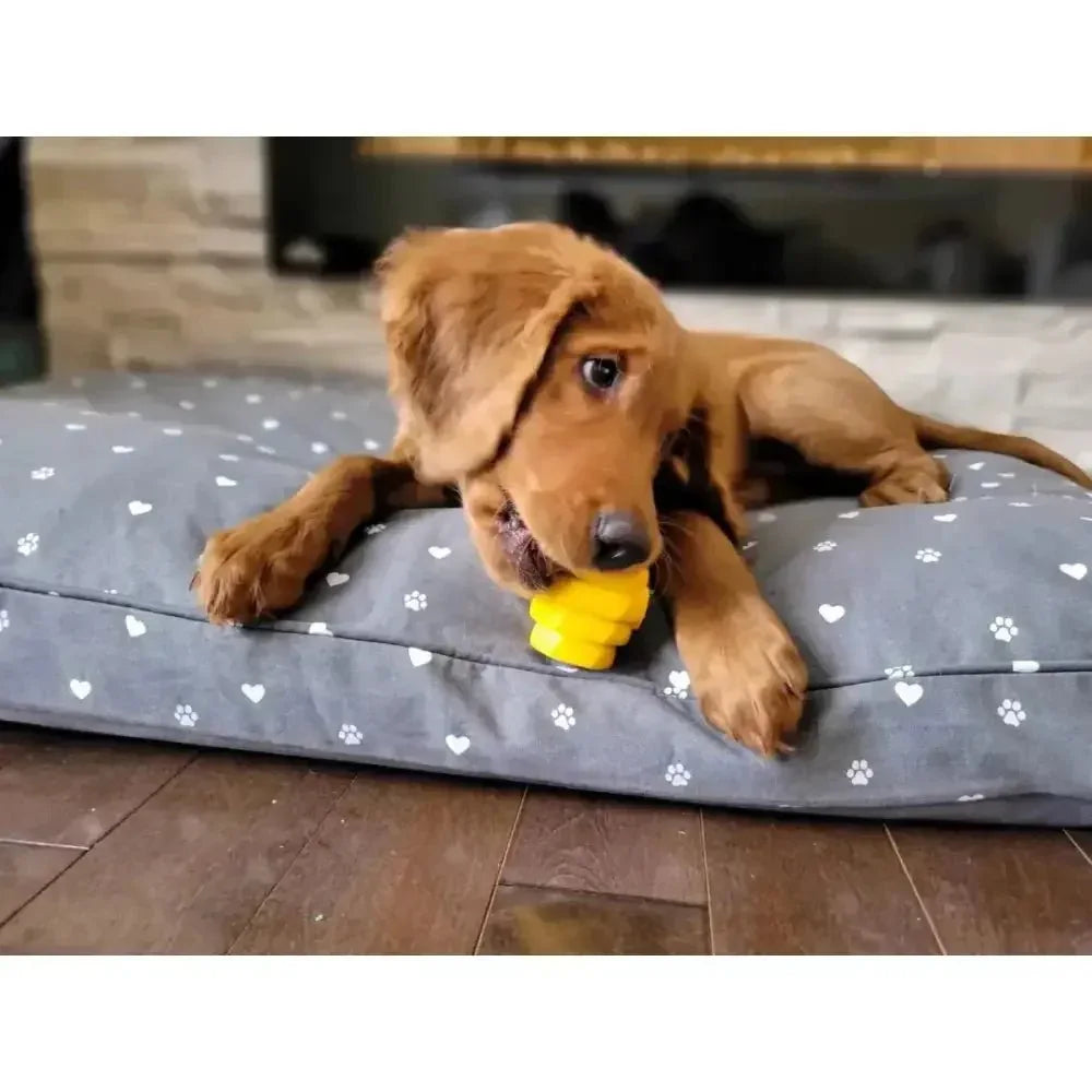 Project Hive Pet Company Hive Durable Chew Toy for Small Dogs - Talis Us