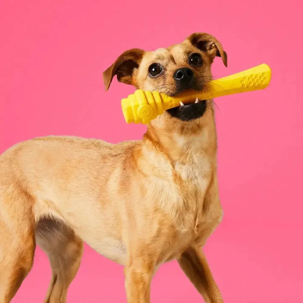 Project Hive Pet Company Hive Stick Dog Fetch Toy - Talis Us