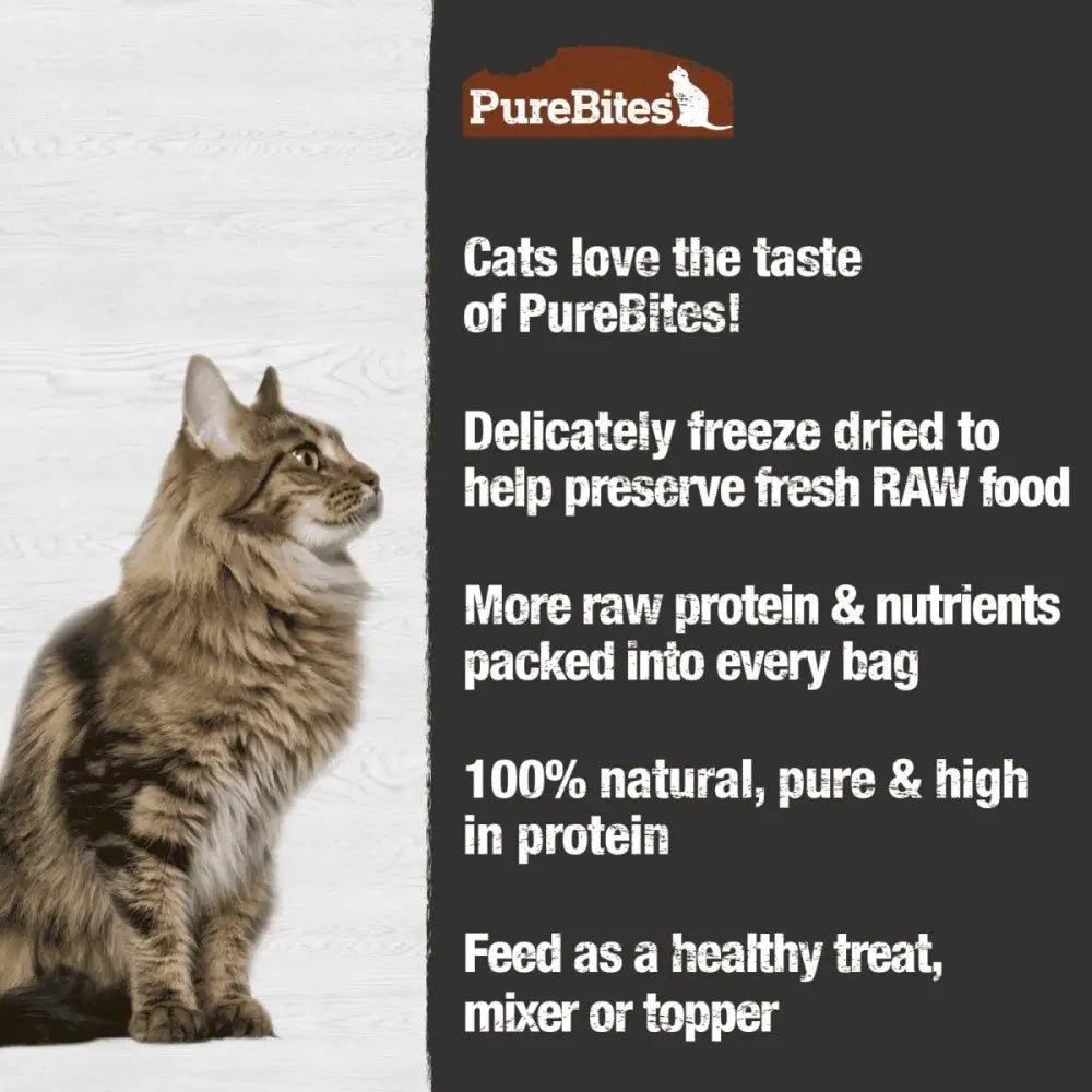PureBites Turkey Breast Freeze - Dried Cat Treats 0.92 oz - Talis Us