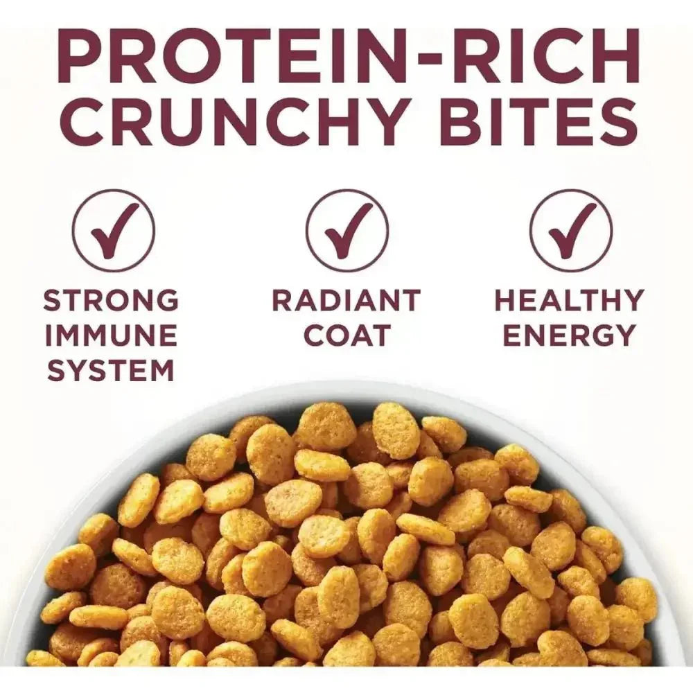 Purina One Special Care Urinary Health High Protein Adult Dry Cat Food - Talis Us