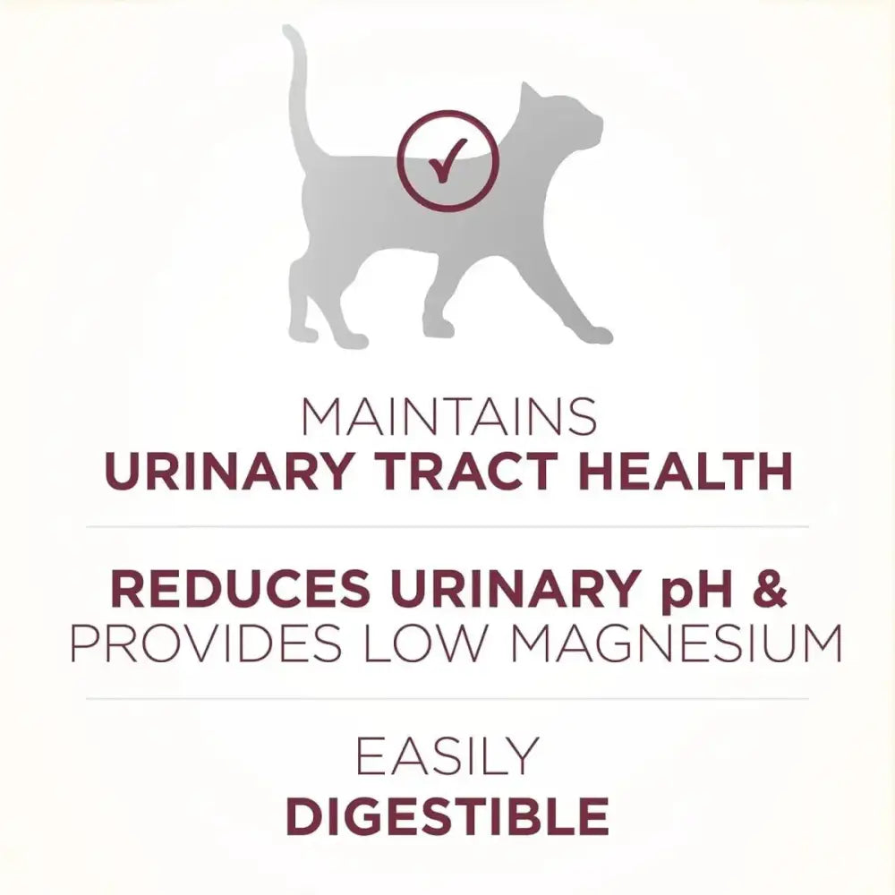 Purina One Special Care Urinary Health High Protein Adult Dry Cat Food - Talis Us