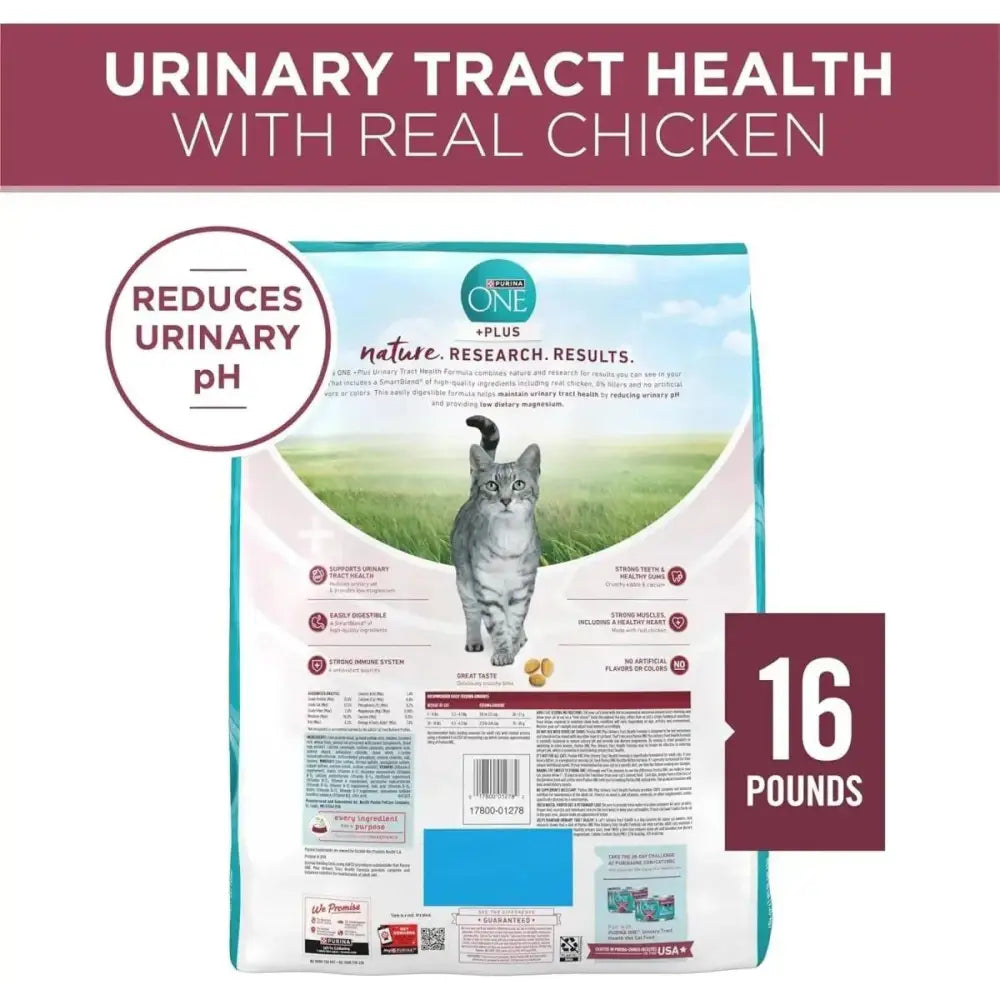 Purina One Special Care Urinary Health High Protein Adult Dry Cat Food - Talis Us