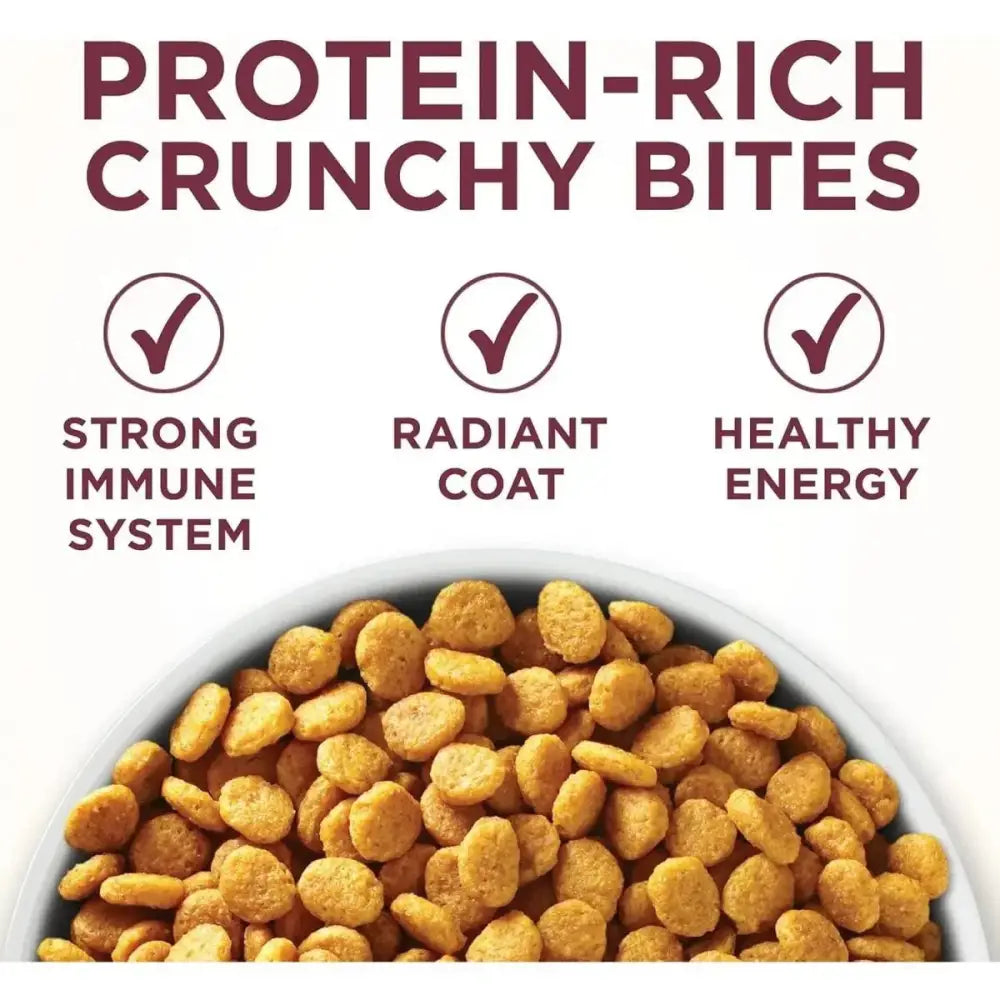 Purina One Special Care Urinary Health High Protein Adult Dry Cat Food - Talis Us