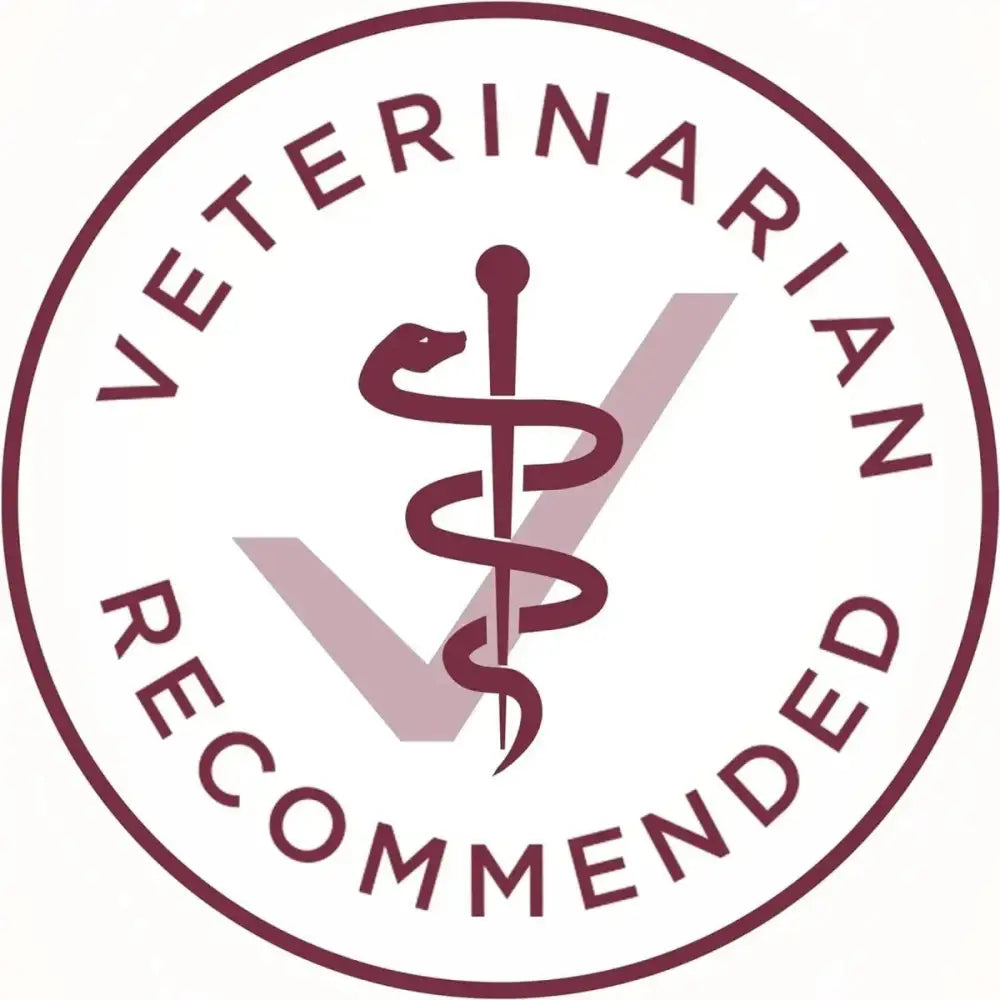 Purina One Special Care Urinary Health High Protein Adult Dry Cat Food - Talis Us