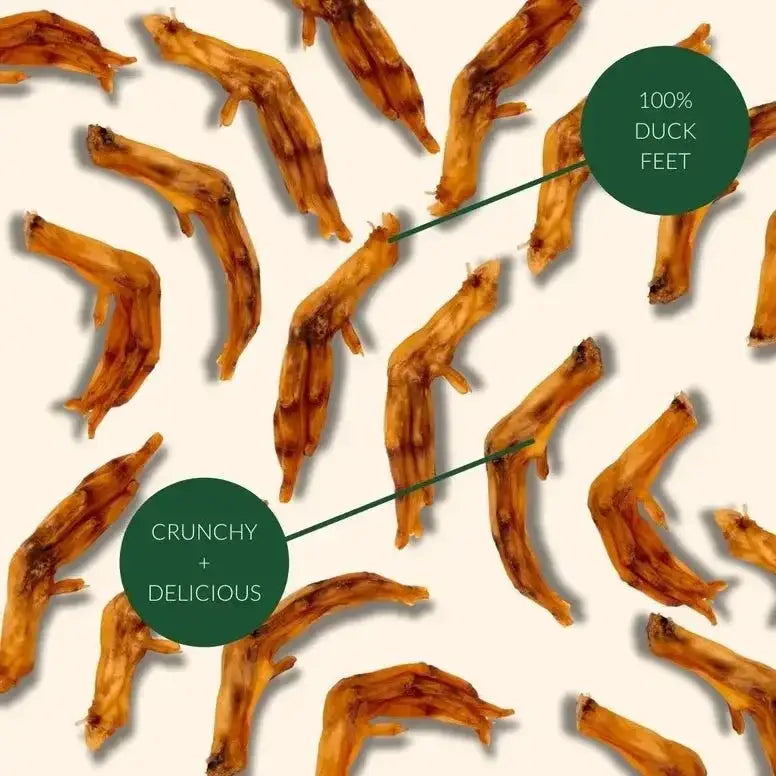 Purposeful Pup Treats Duck Feet Dog Treats - Talis Us
