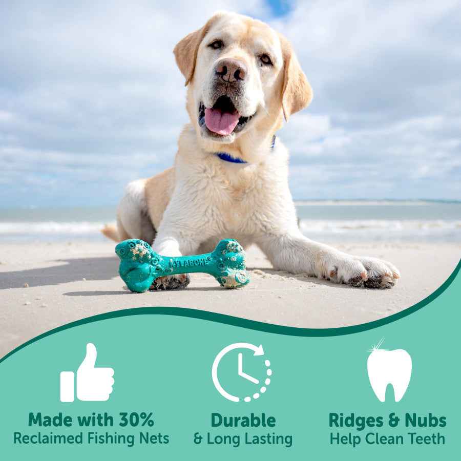 Nylabone Power Chew Love Our Oceans Frenzy Bone Dog Chew Toy