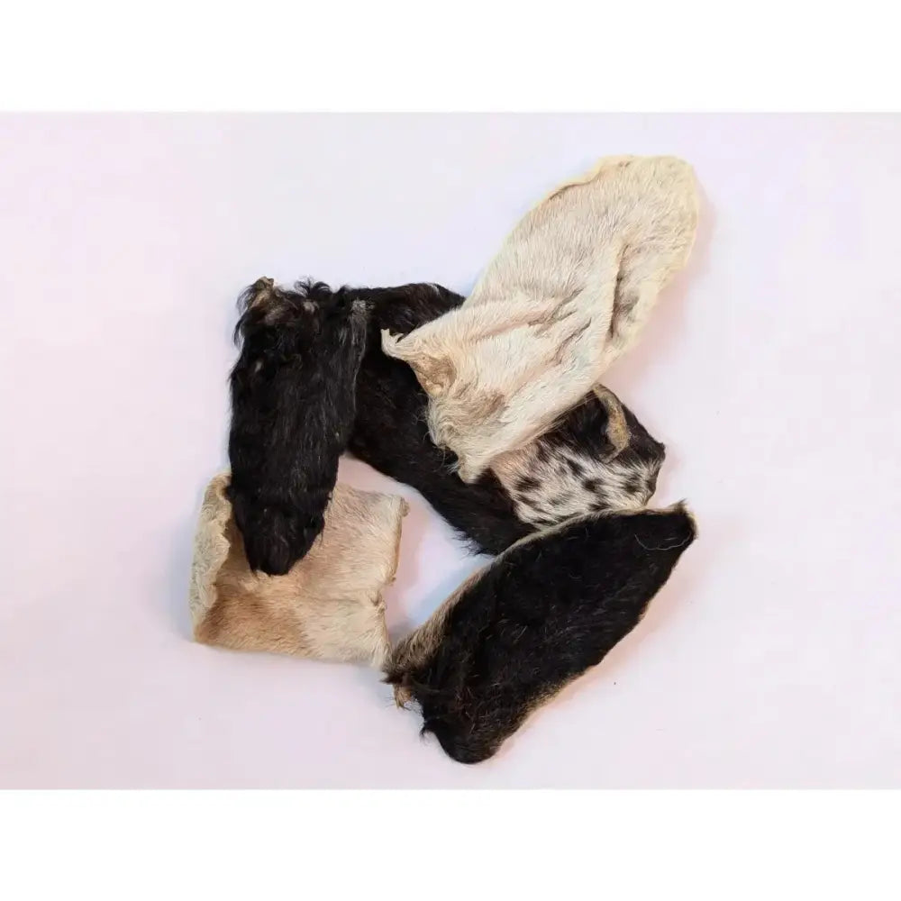 QT Dog Goat Hearz Hairy Goat Ears – All - Natural Long - Lasting Dog Chews 50pcs Bulk - Talis Us